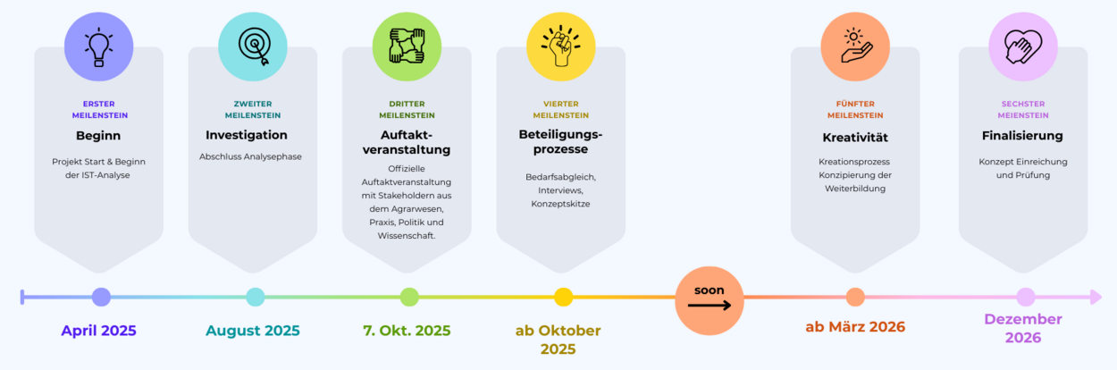 Projekt Timeline Projekt Timeline