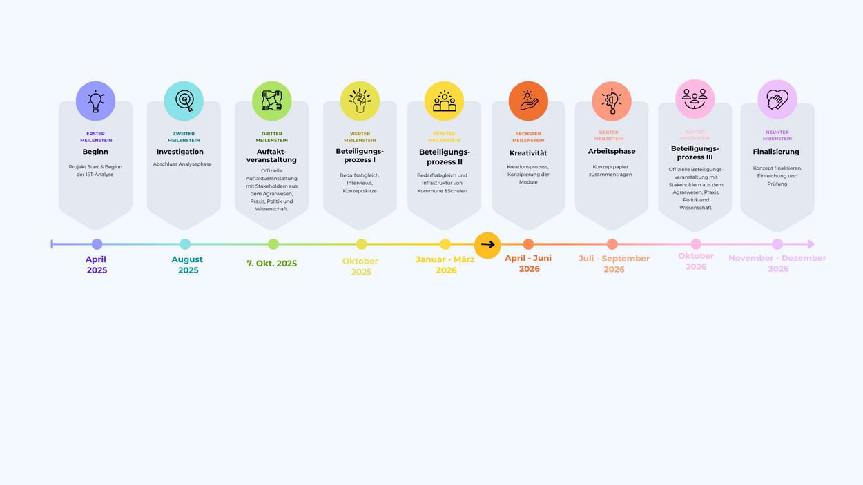 Projekt Timeline 